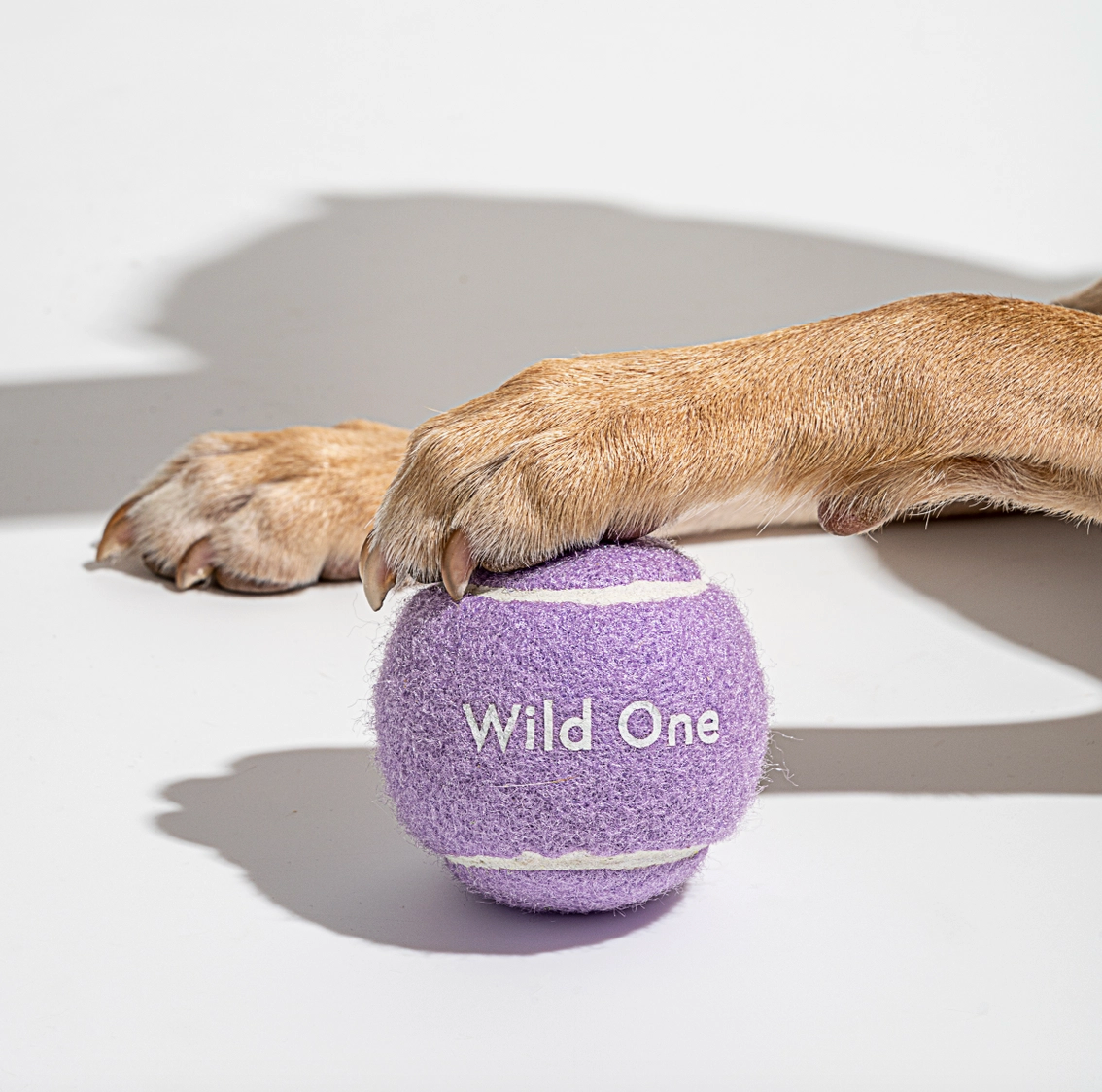 HealthyDog Wild One Tennisbälle für Hunde