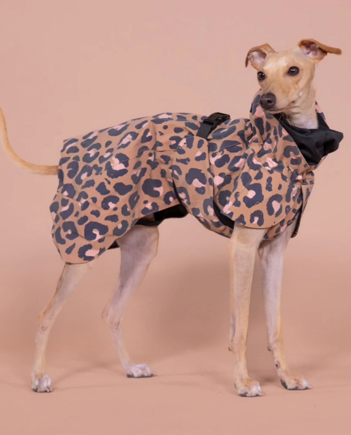 HealthyDog PAIKKA Regenmantel Leo leuchtend
