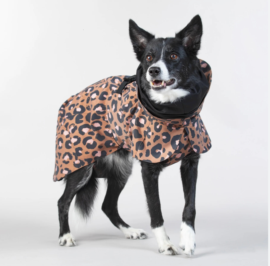 HealthyDog PAIKKA Regenmantel Leo leuchtend