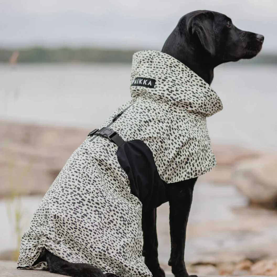 HealthyDog PAIKKA Regenmantel 2.0 leuchtend