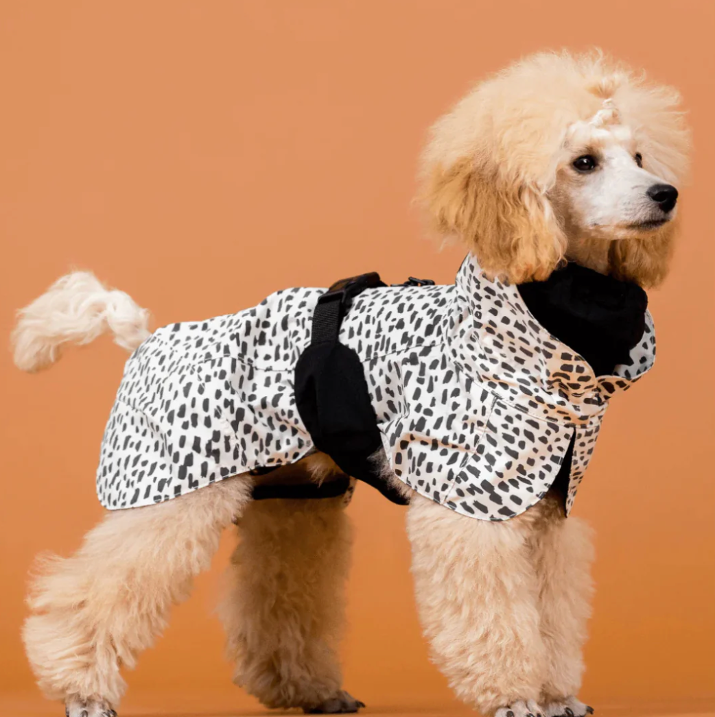 HealthyDog PAIKKA Regenmantel 2.0 leuchtend