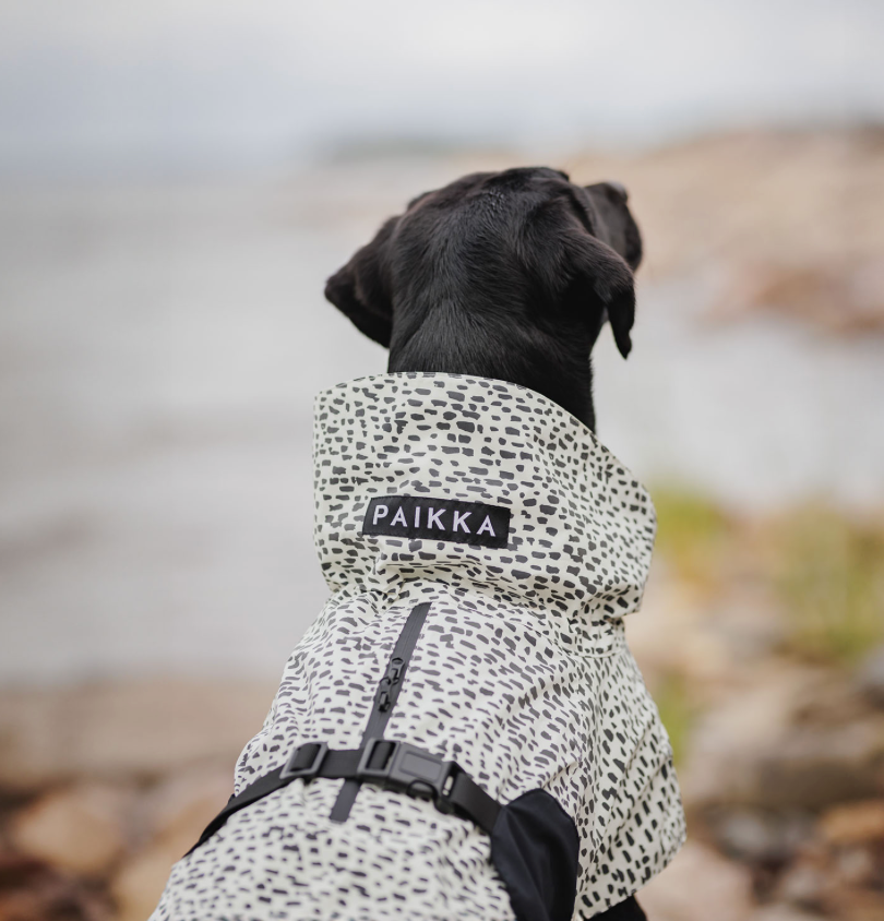 HealthyDog PAIKKA Regenmantel 2.0 leuchtend