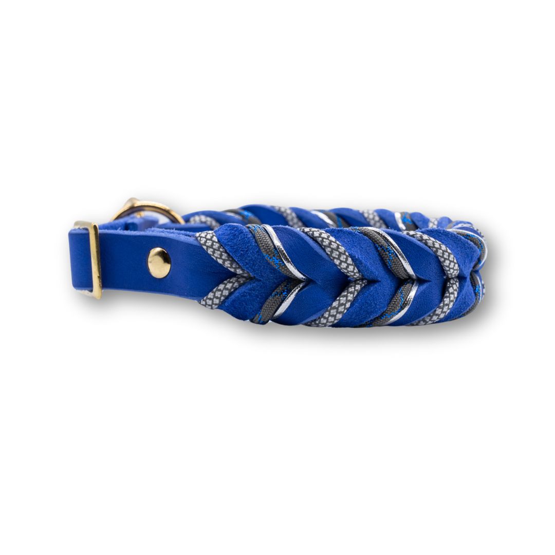 HealthyDog Lederhalsband "Danilo"
