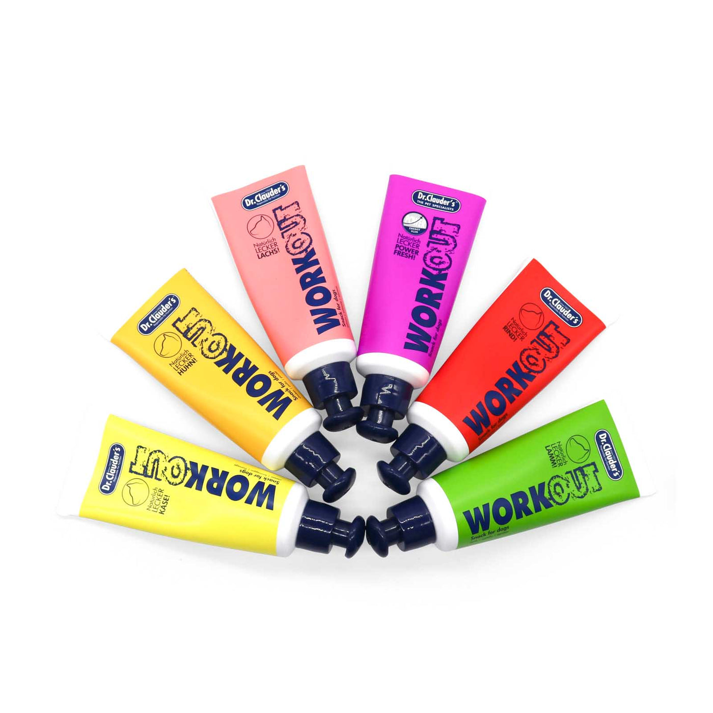 HealthyDog Dr. Clauders Workout Paste alle Sorten