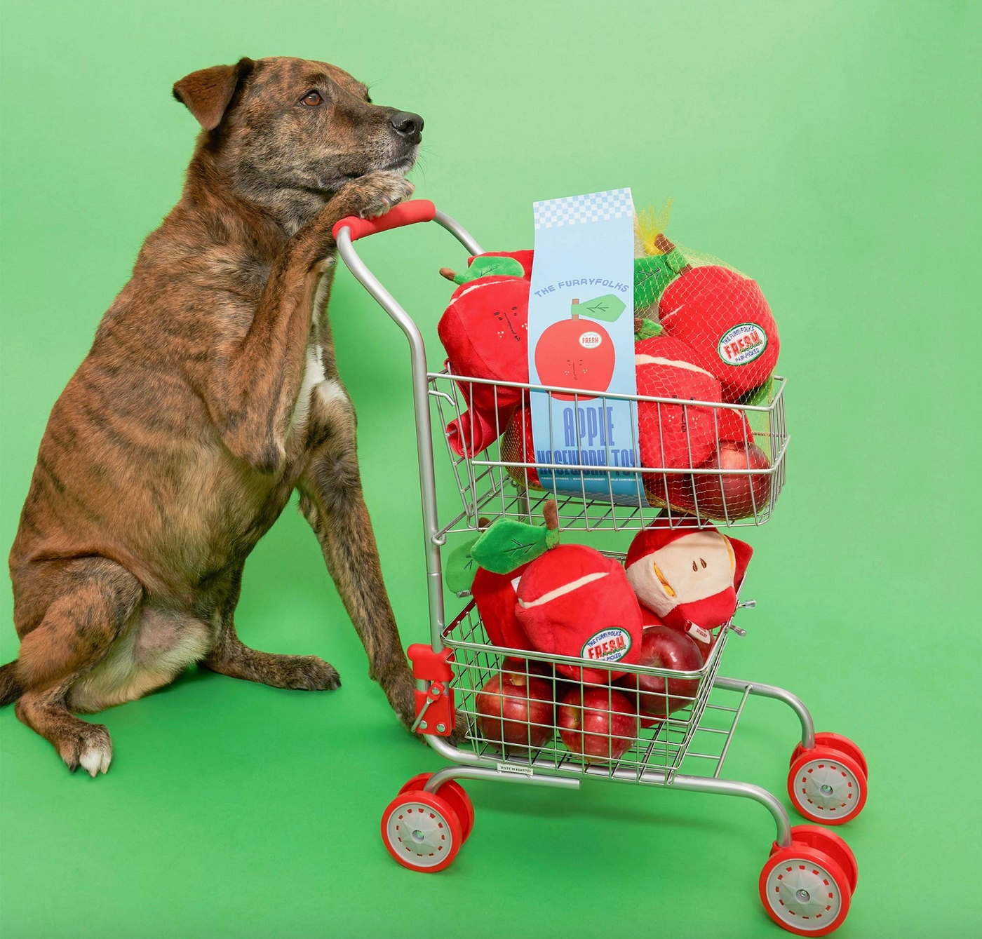 the furryfolks Apfel Nasenarbeit Hundespielzeug