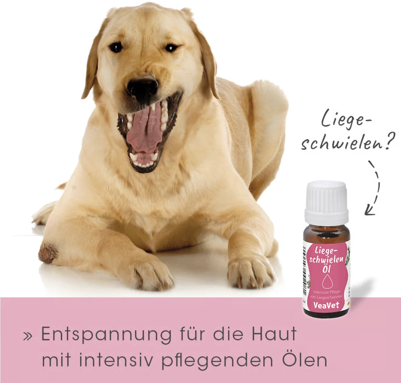 HealthyDog VeaVet Liegeschwielenöl