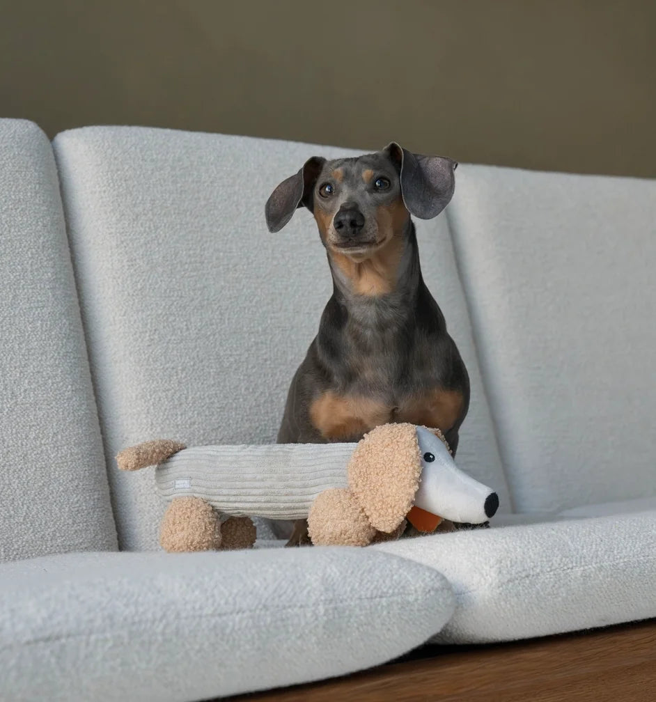 HealthyDog Hundespielzeug "Der Micky"