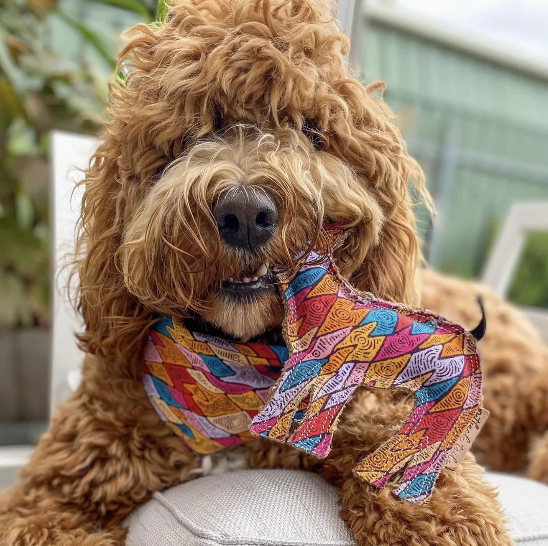 HealthyDog Outback Tails "Timon"