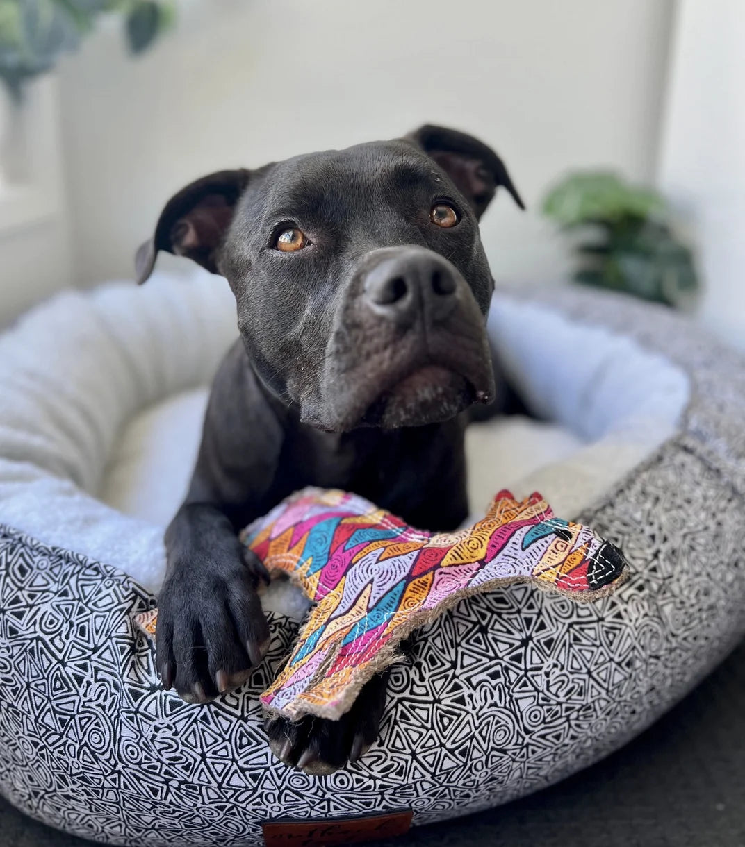 HealthyDog Outback Tails "Timon"