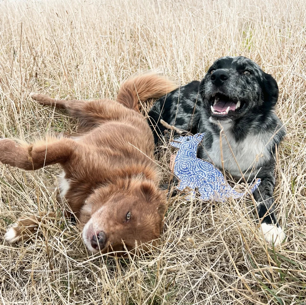 HealthyDog Outback Tails "Balou"