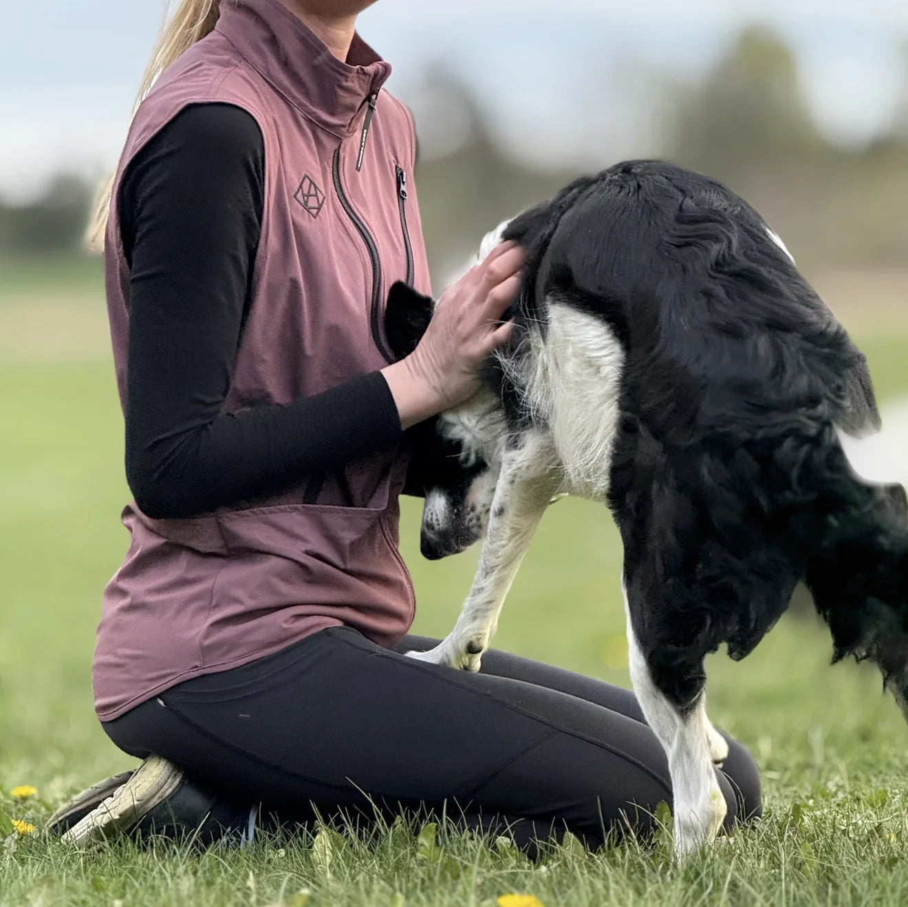 HealthyDog Hundlands Trainingsweste Sport