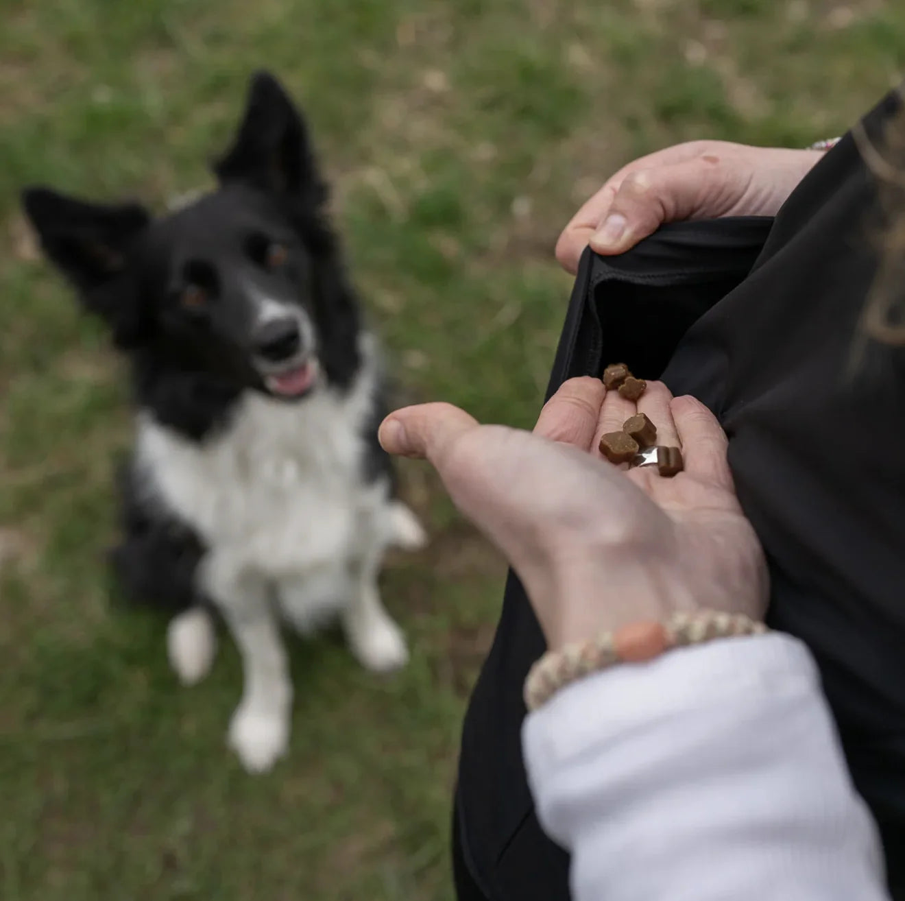 HealthyDog Hundlands Trainingsweste Sport