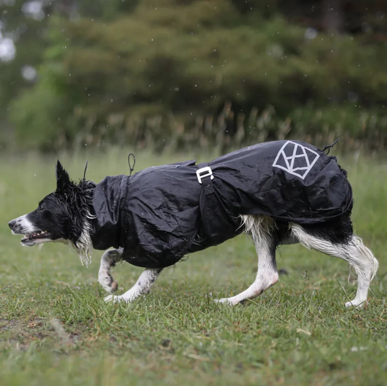 HealthyDog Hundlands Regenmäntel Stormsy