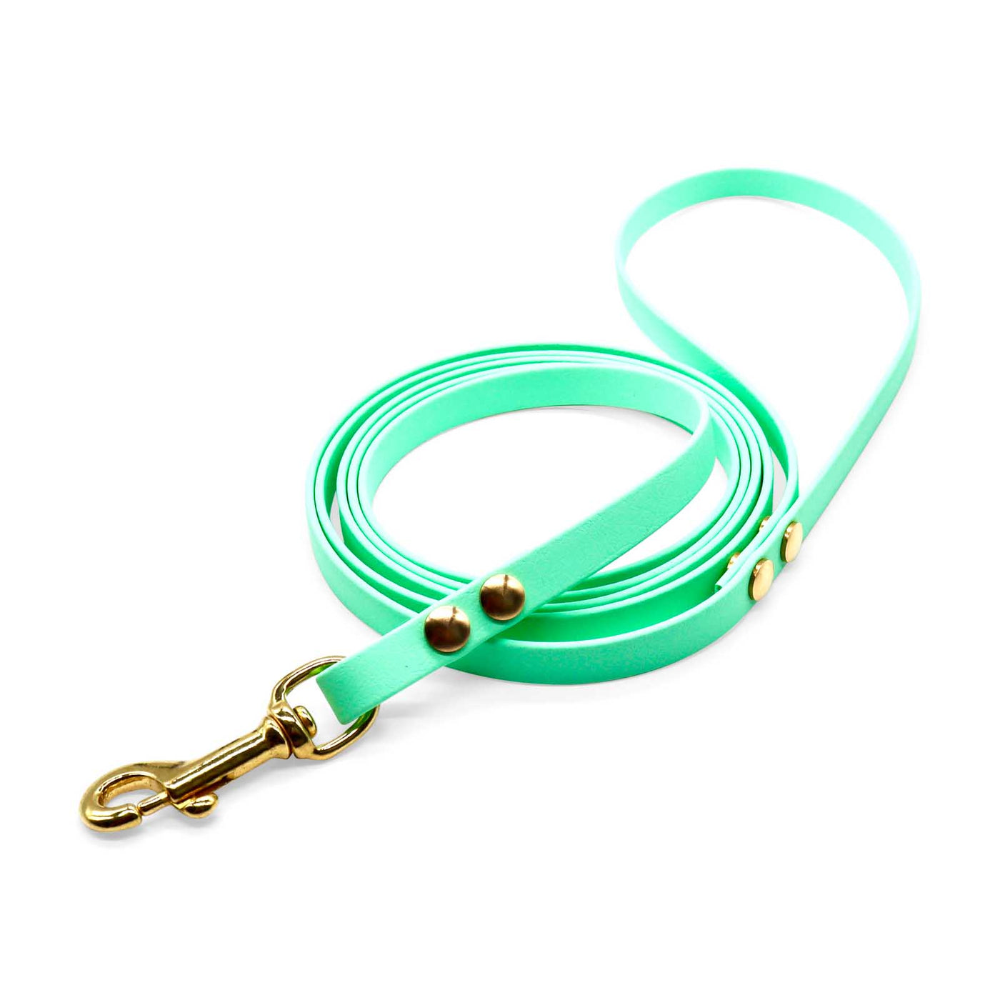 HealthyDog Biothane Leine "caribbean mint"