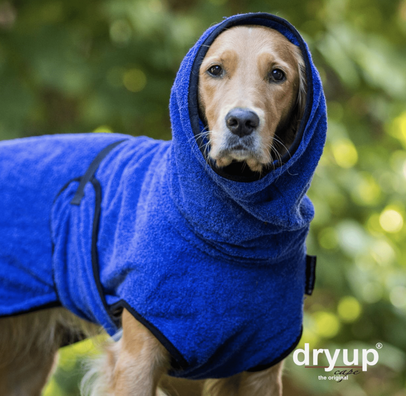 HealthyDog actionfactory dryup cape blueberry