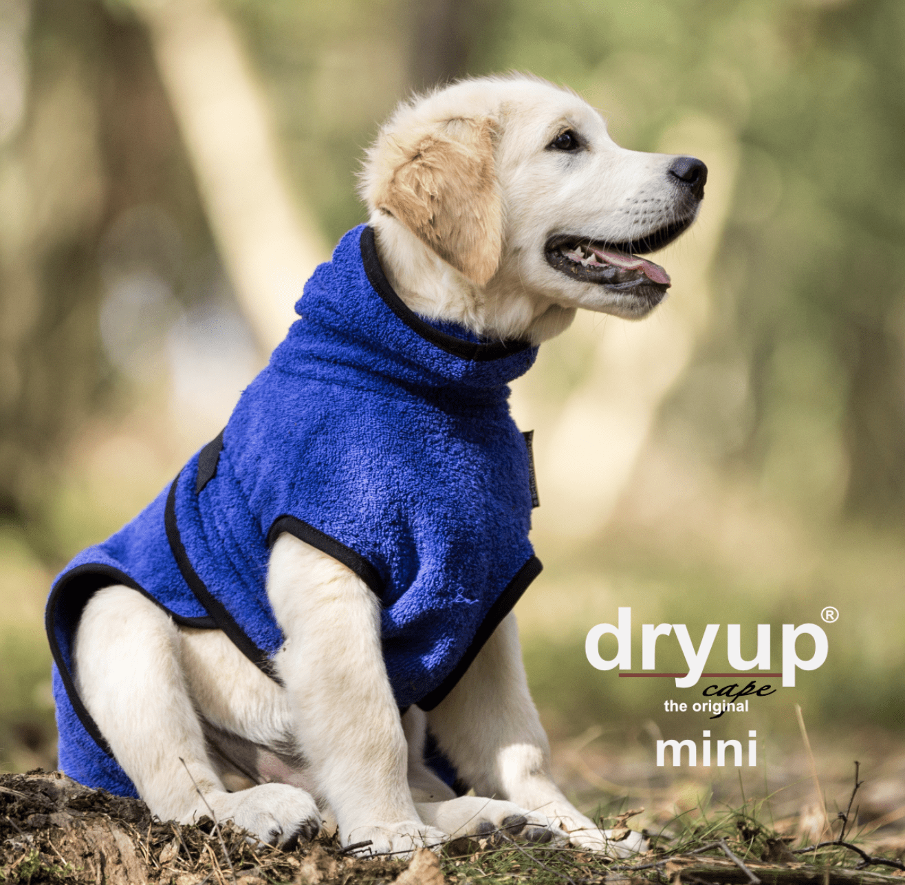 HealthyDog actionfactory dryup cape blueberry