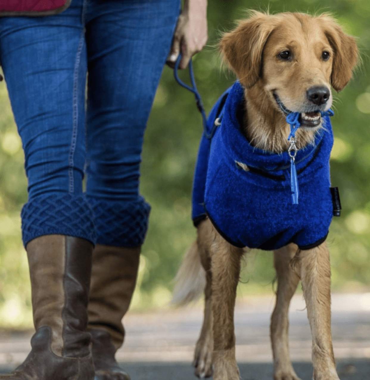 HealthyDog actionfactory dryup cape blueberry