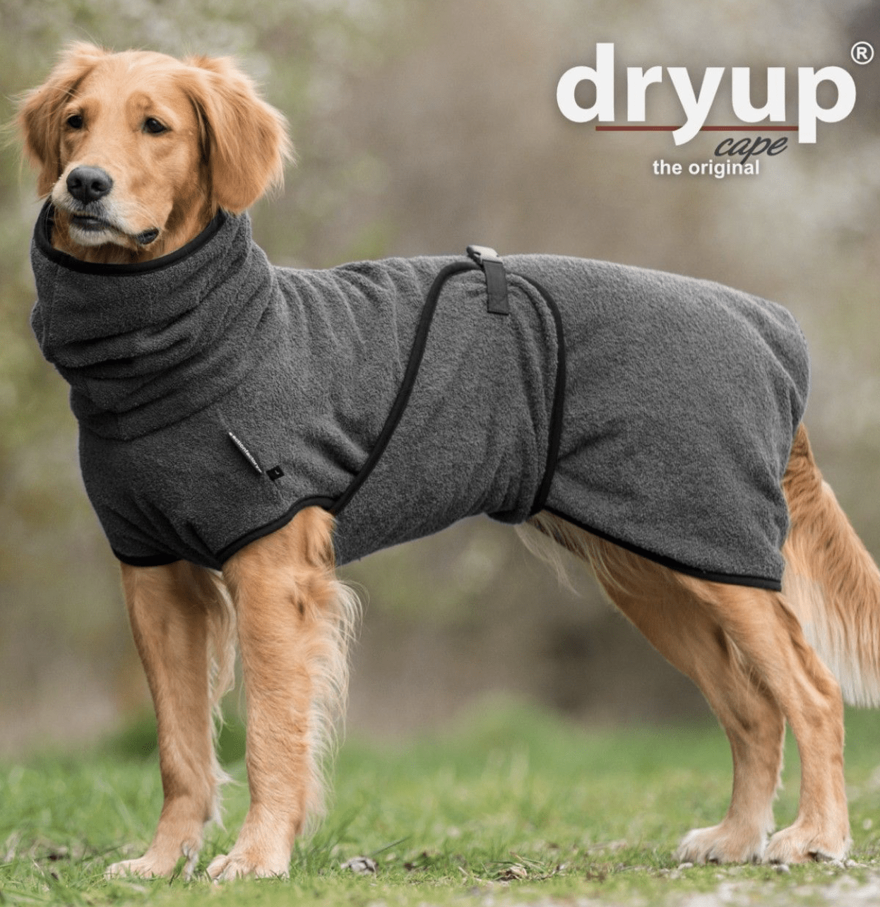 HealthyDog actionfactory dryup cape anthrazit