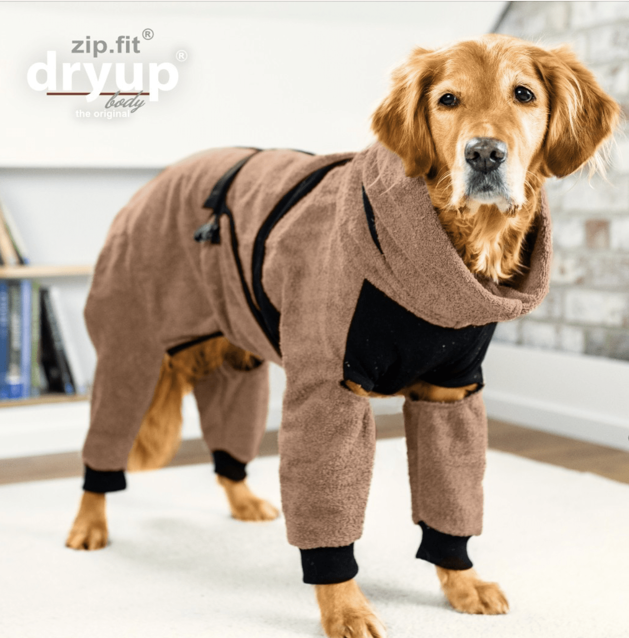 HealthyDog actionfactory dryup body zip.fit coffee