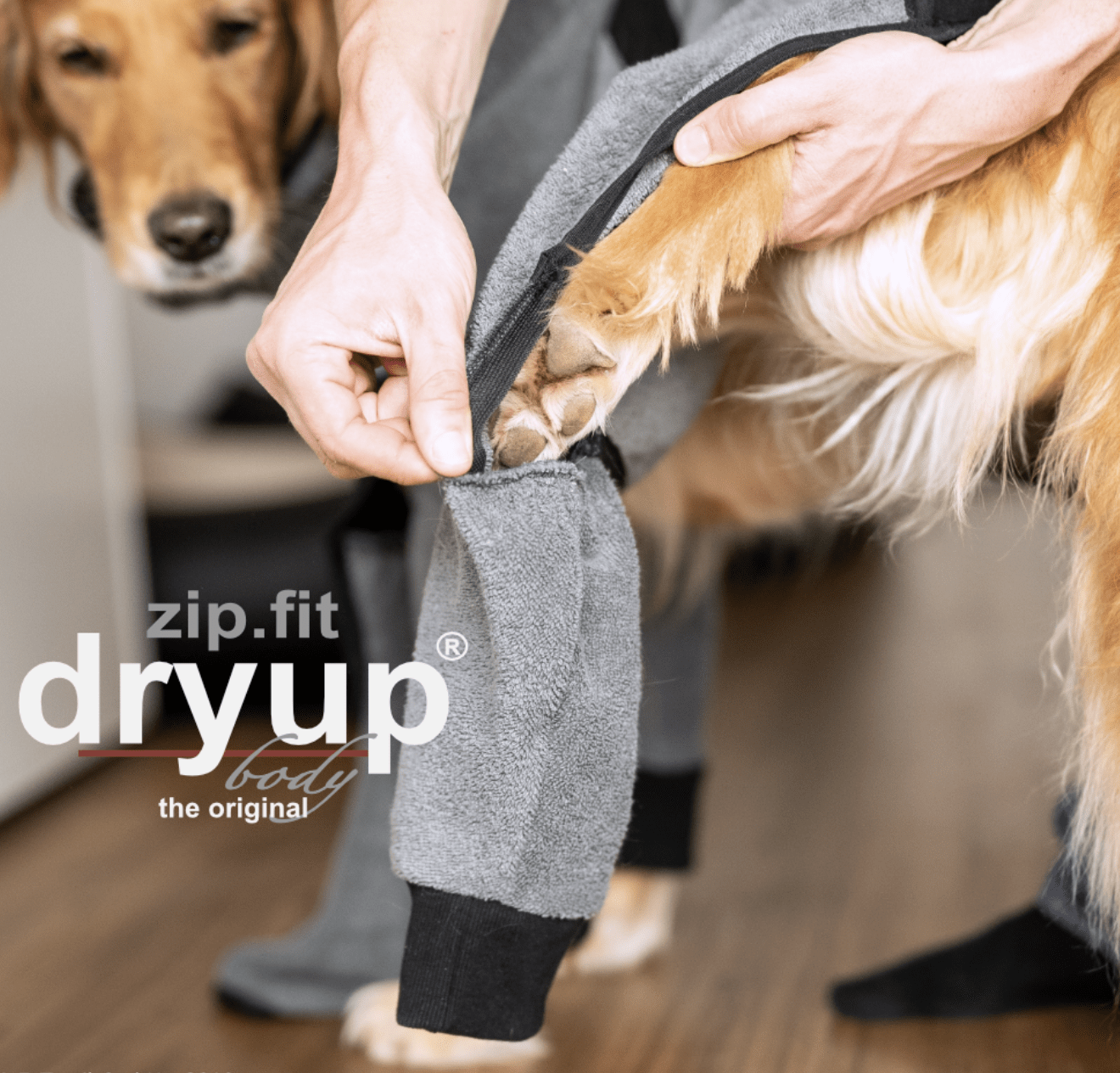 HealthyDog actionfactory dryup body zip.fit grey