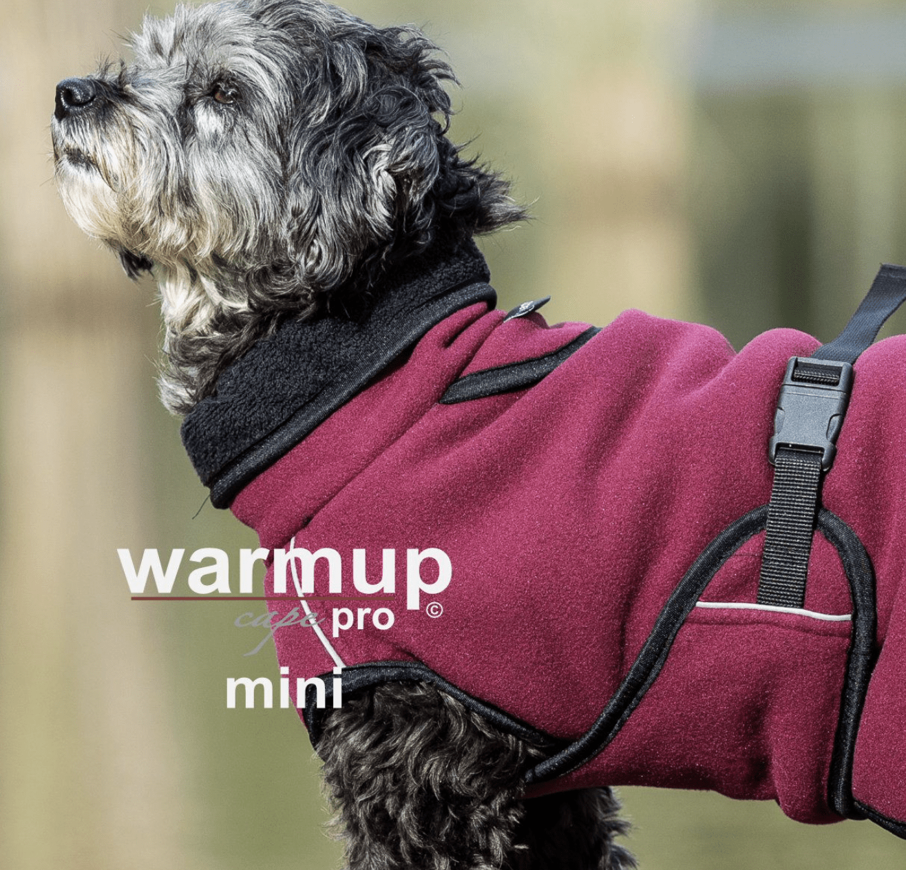 HealthyDog actionfactory warmup cape pro bordeaux