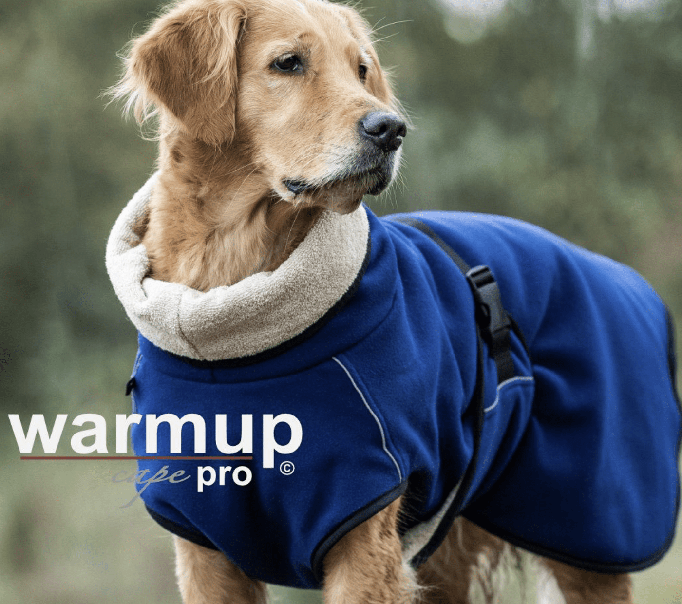 HealthyDog actionfactory warmup cape pro dark blue