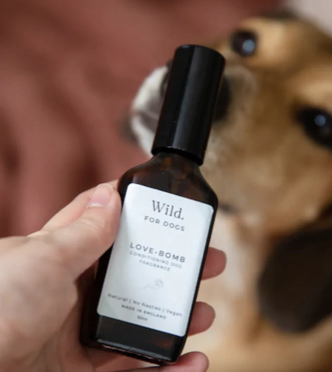 HealthyDog Wild for Dogs Love Bomb