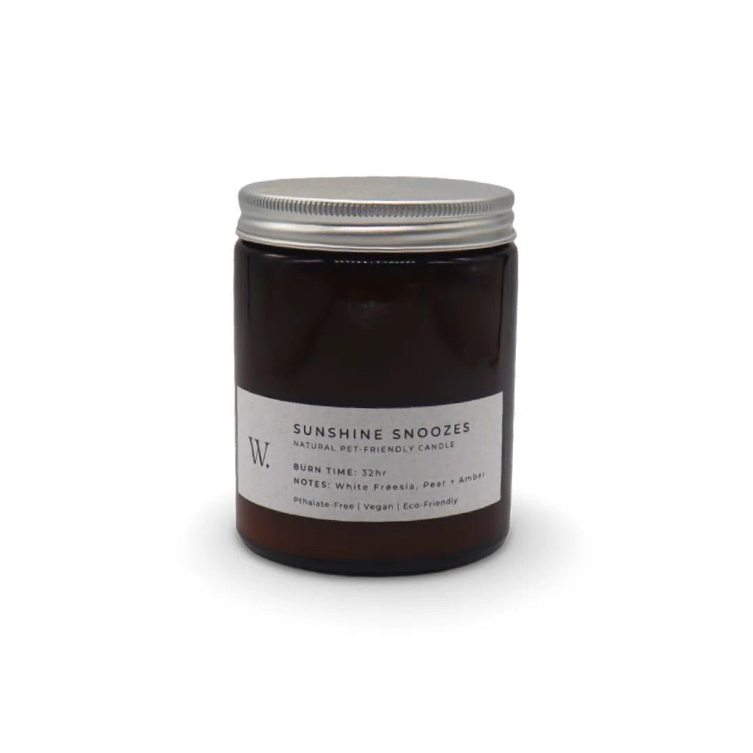 HealthyDog Wild for Dogs Sunshine Snoozes Kerze
