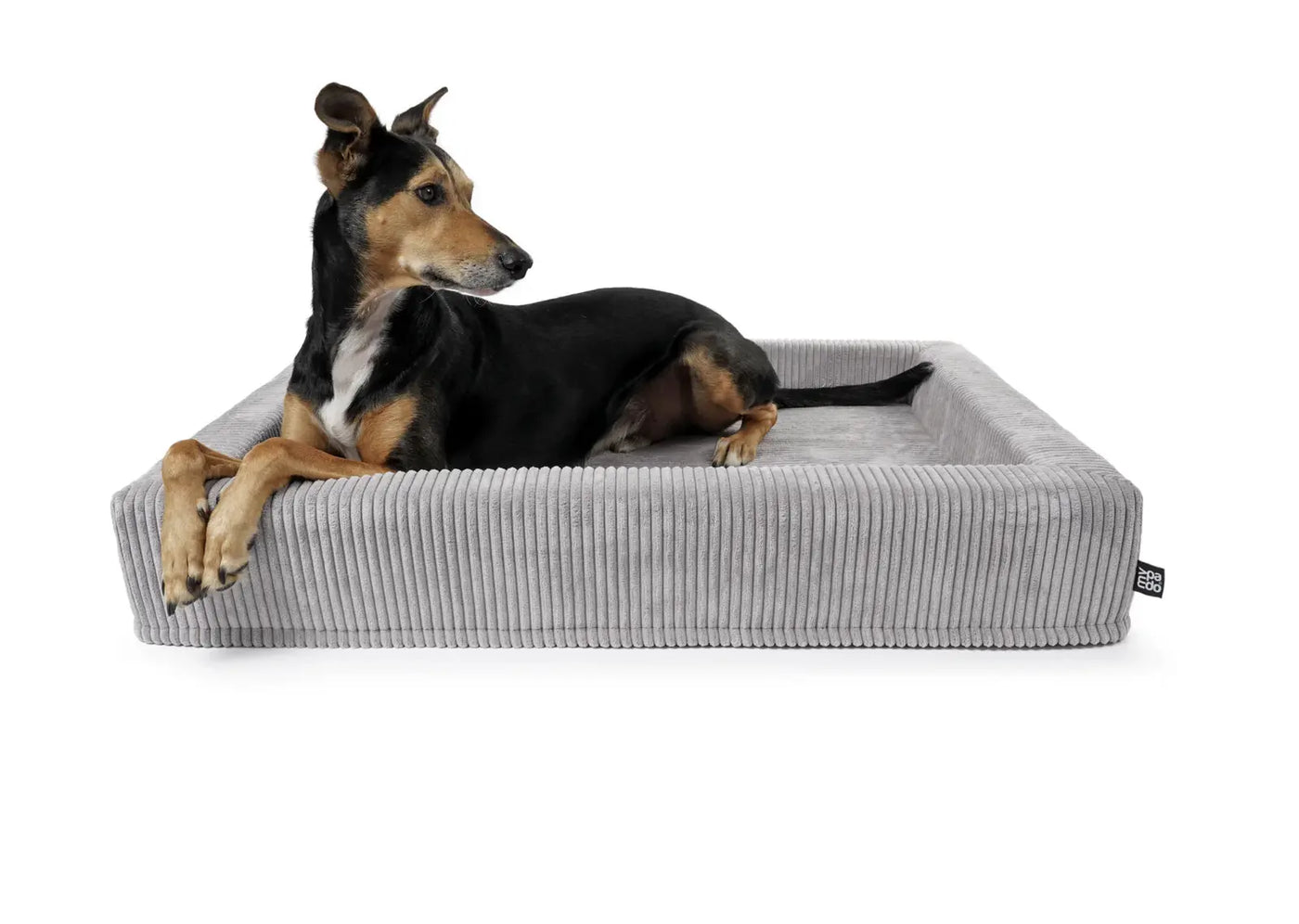 HealthyDog padsforall Hundebett Harko Cord