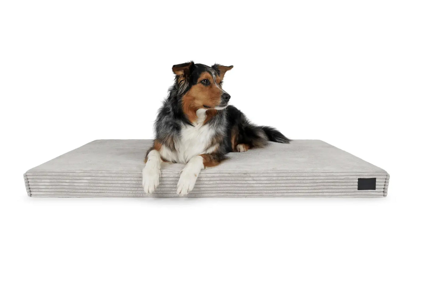 HealthyDog padsforall Hundematte Solana Cord