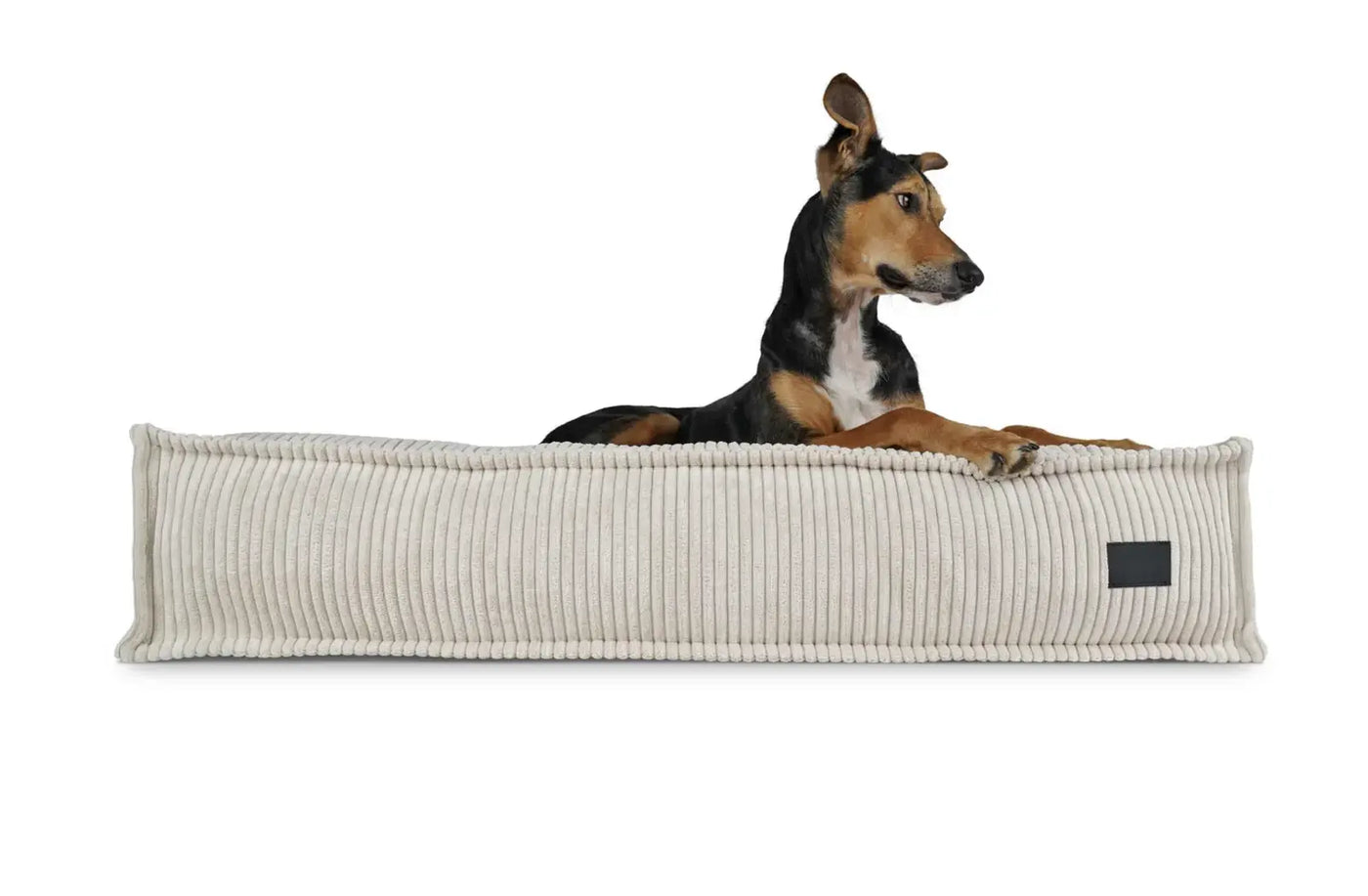 HealthyDog padsforall Hundekissen Flow Cord
