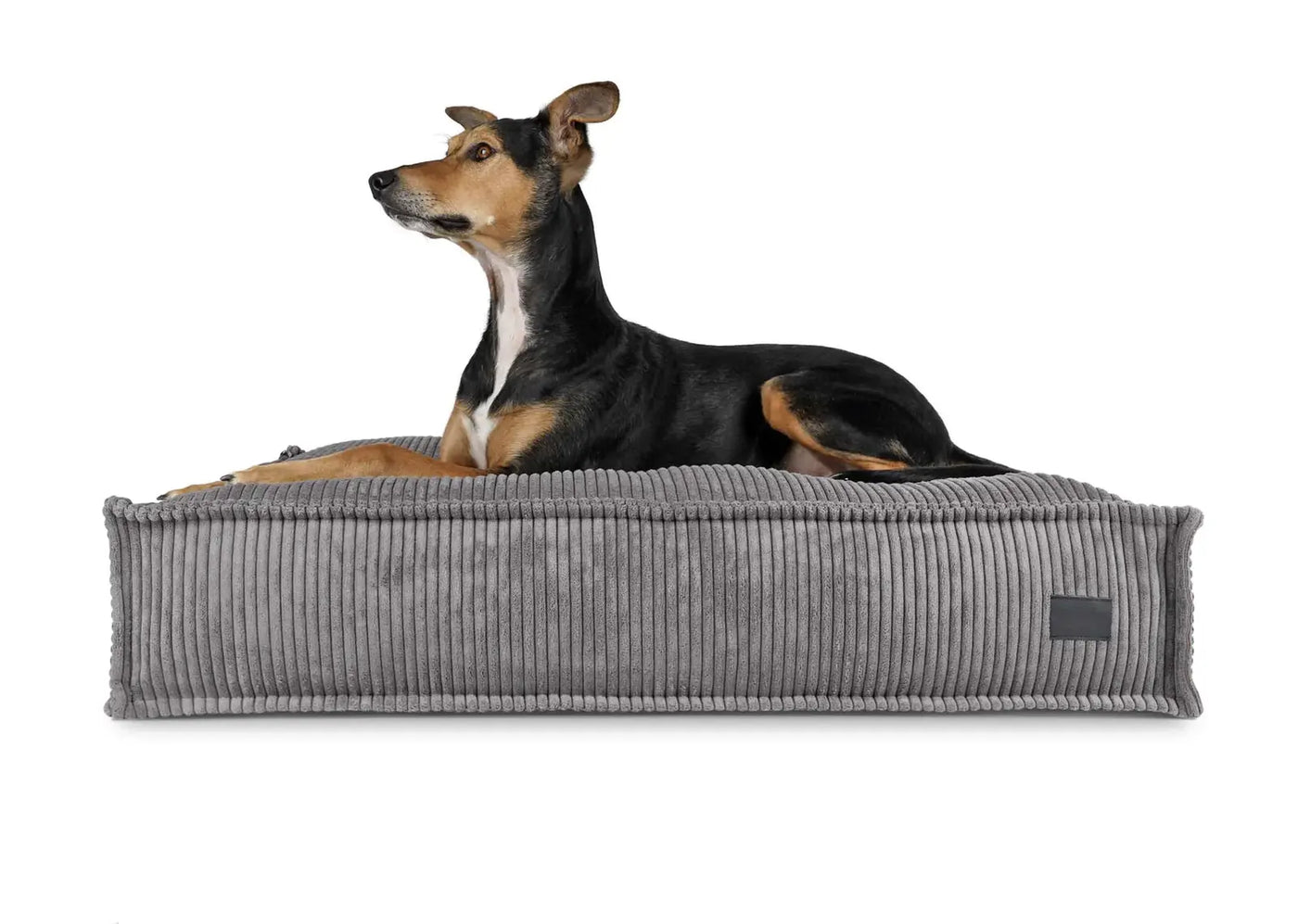 HealthyDog padsforall Hundekissen Flow Cord