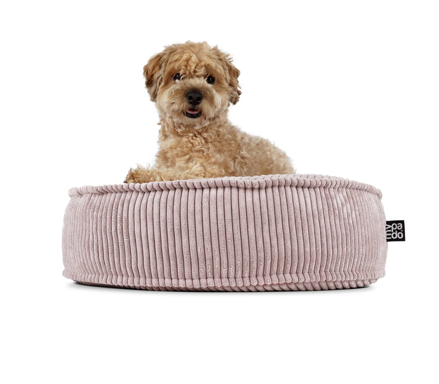 HealthyDog padsforall Hundekissen Mio Cord