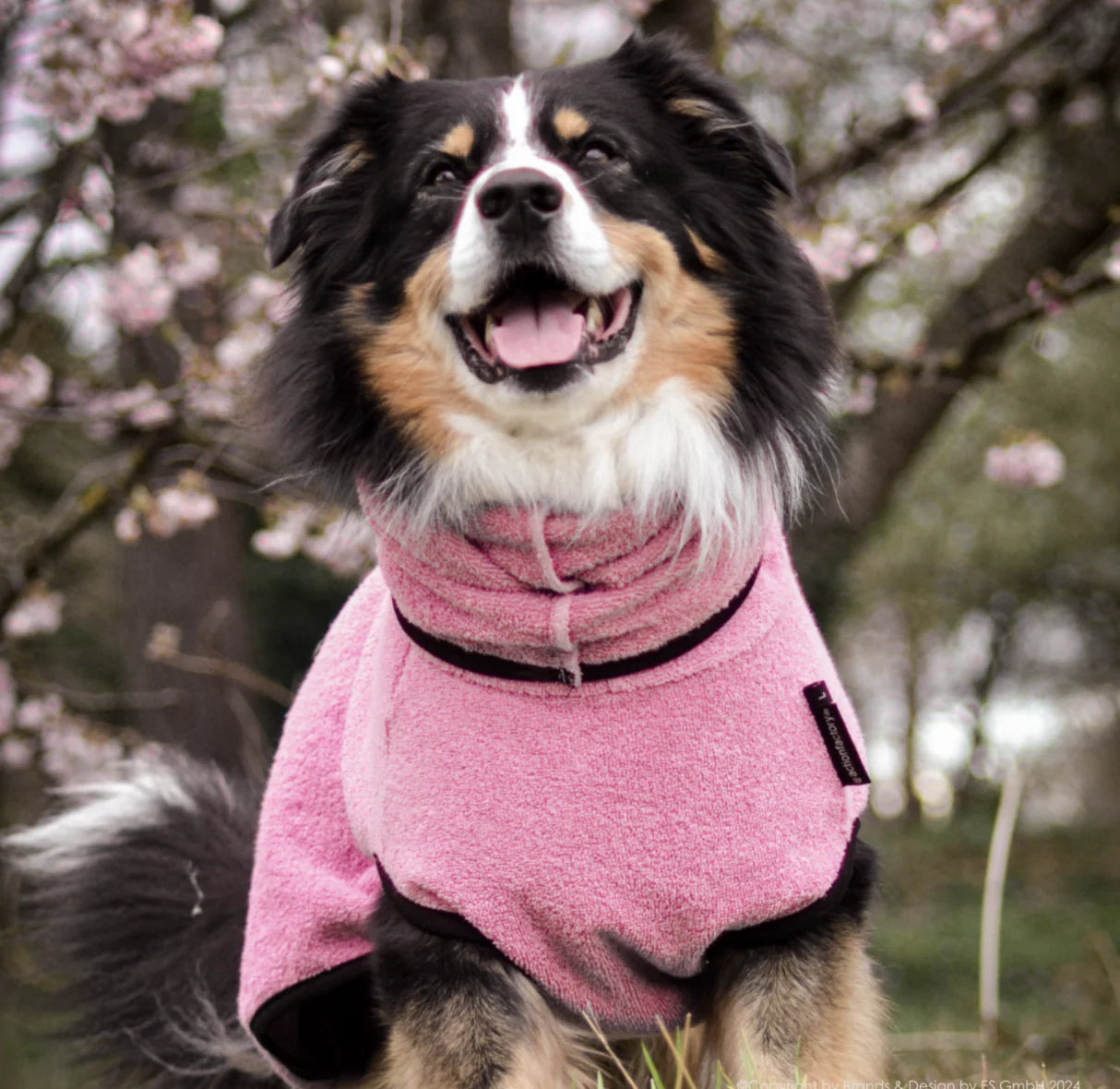 HealthyDog actionfactory dryup cape rosé