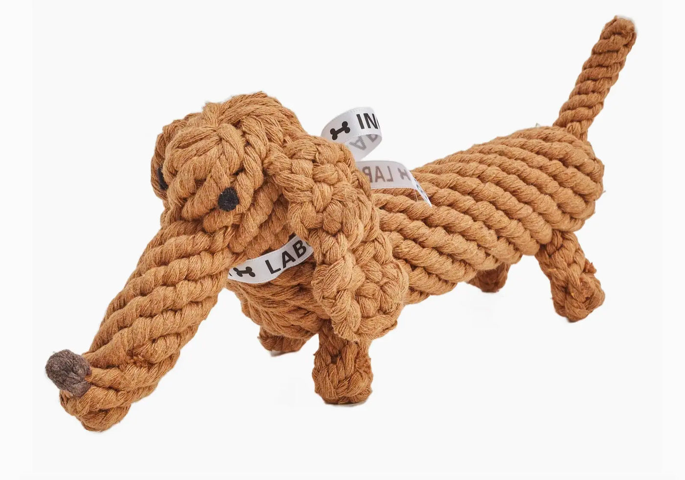 HealthyDog Laboni Diego Dackel