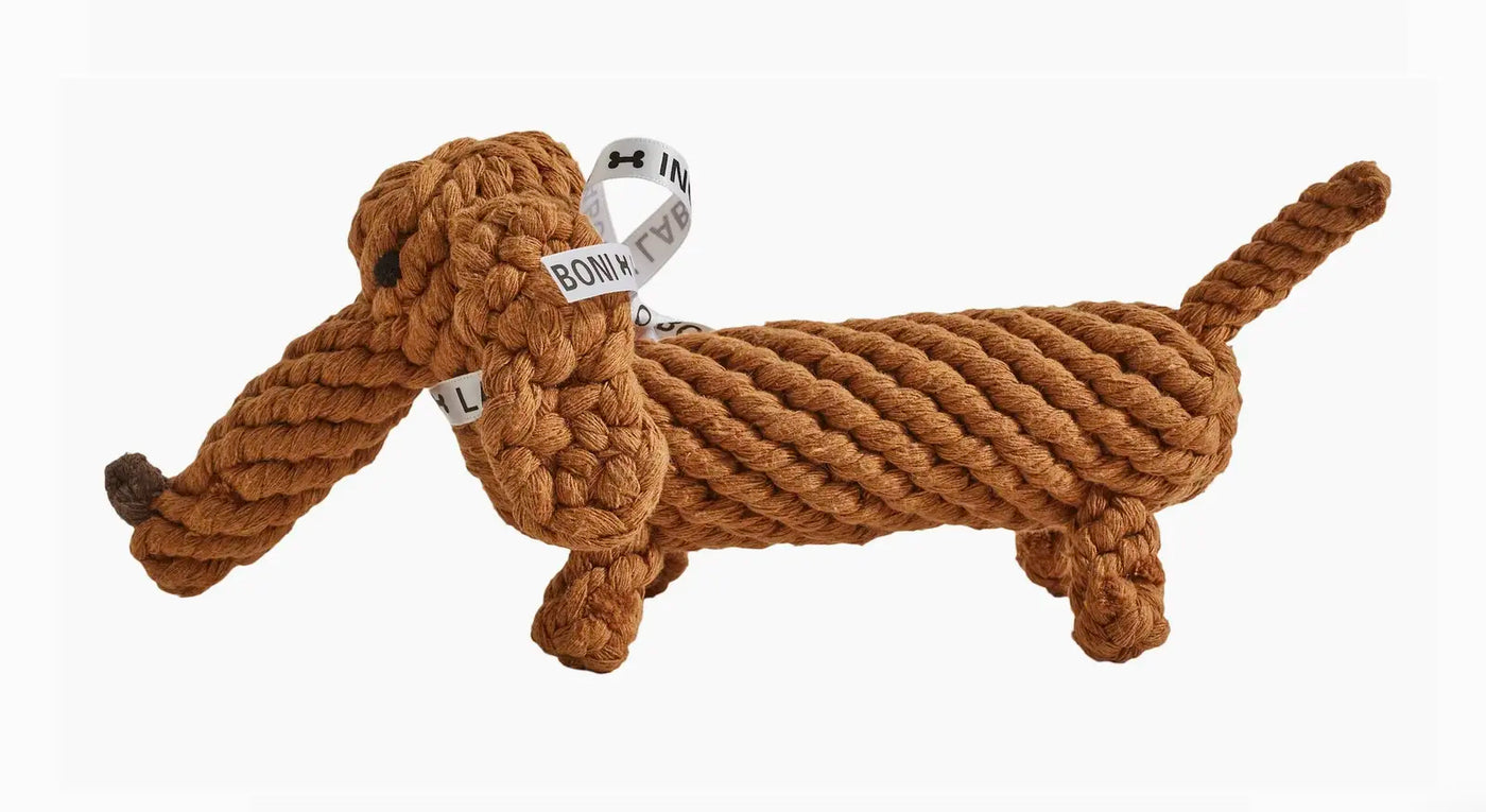 HealthyDog Laboni Diego Dackel