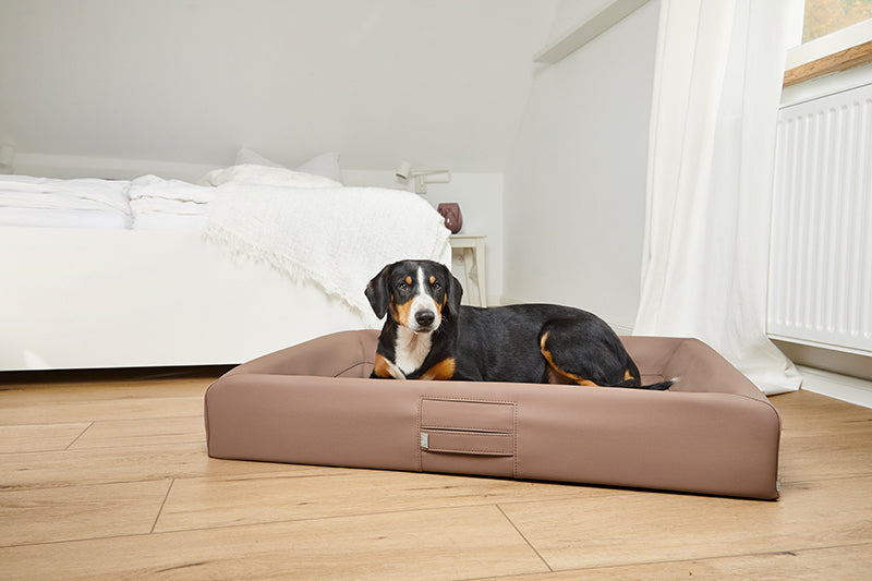 HealthyDog ammi for Dogs orthopädisches Hundebett Kunstleder braun