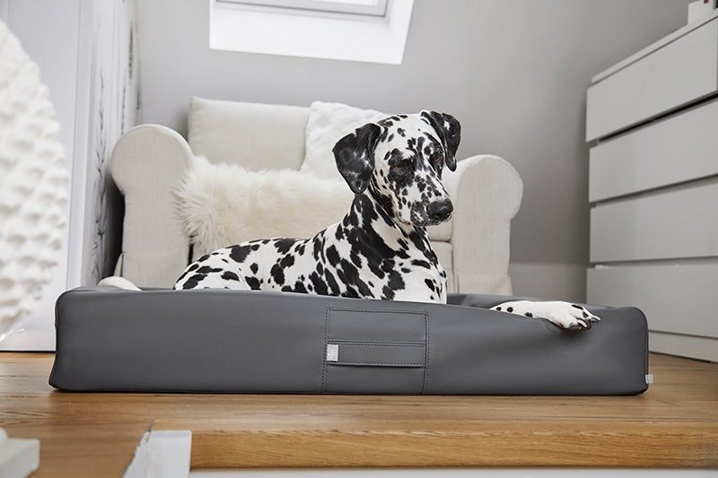 HealthyDog ammi for Dogs orthopädisches Hundebett Kunstleder anthrazit