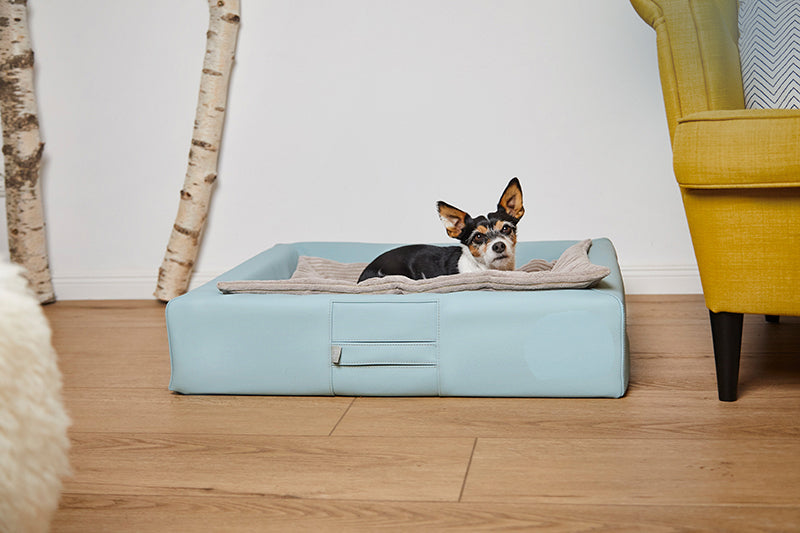 HealthyDog ammi for Dogs orthopädisches Hundebett Kunstleder softmint