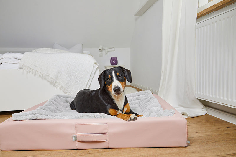 HealthyDog ammi for Dogs orthopädisches Hundebett Kunstleder softrosé
