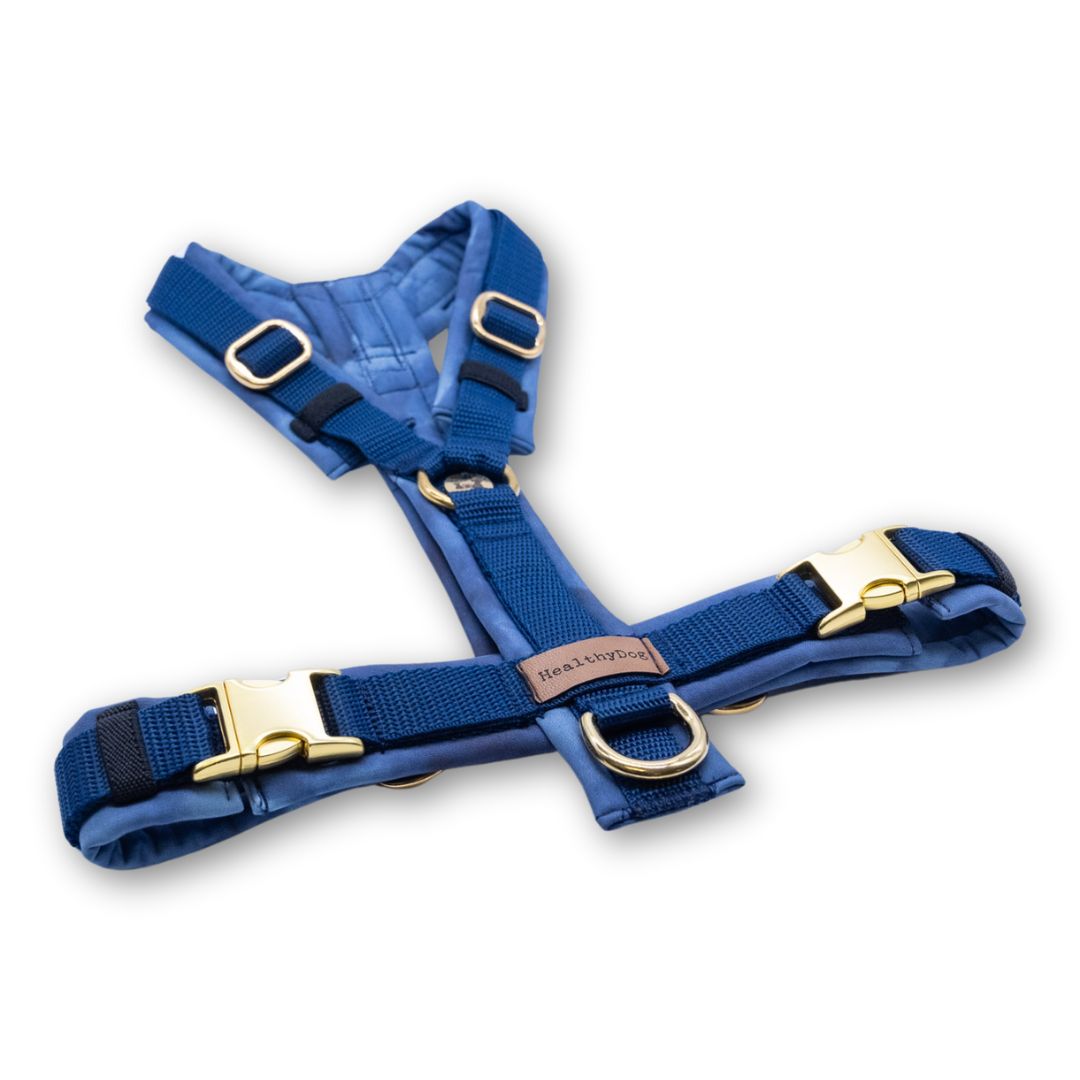 HealthyDog Hundegeschirr blau