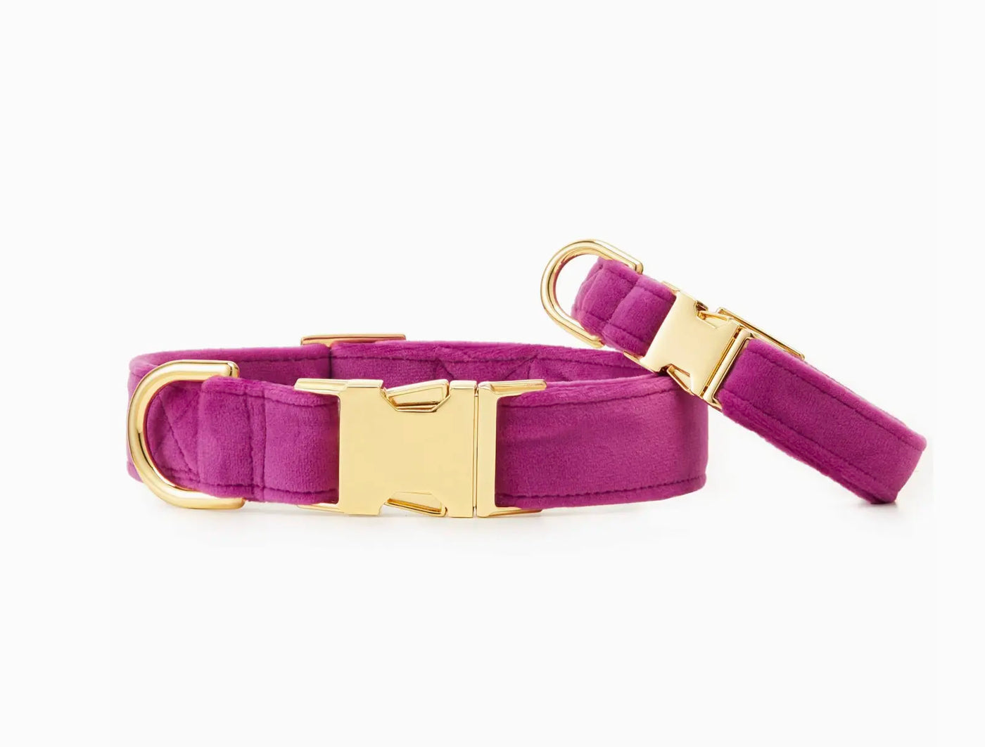 HealthyDog The Foggy Dog Hundehalsband plum velvet