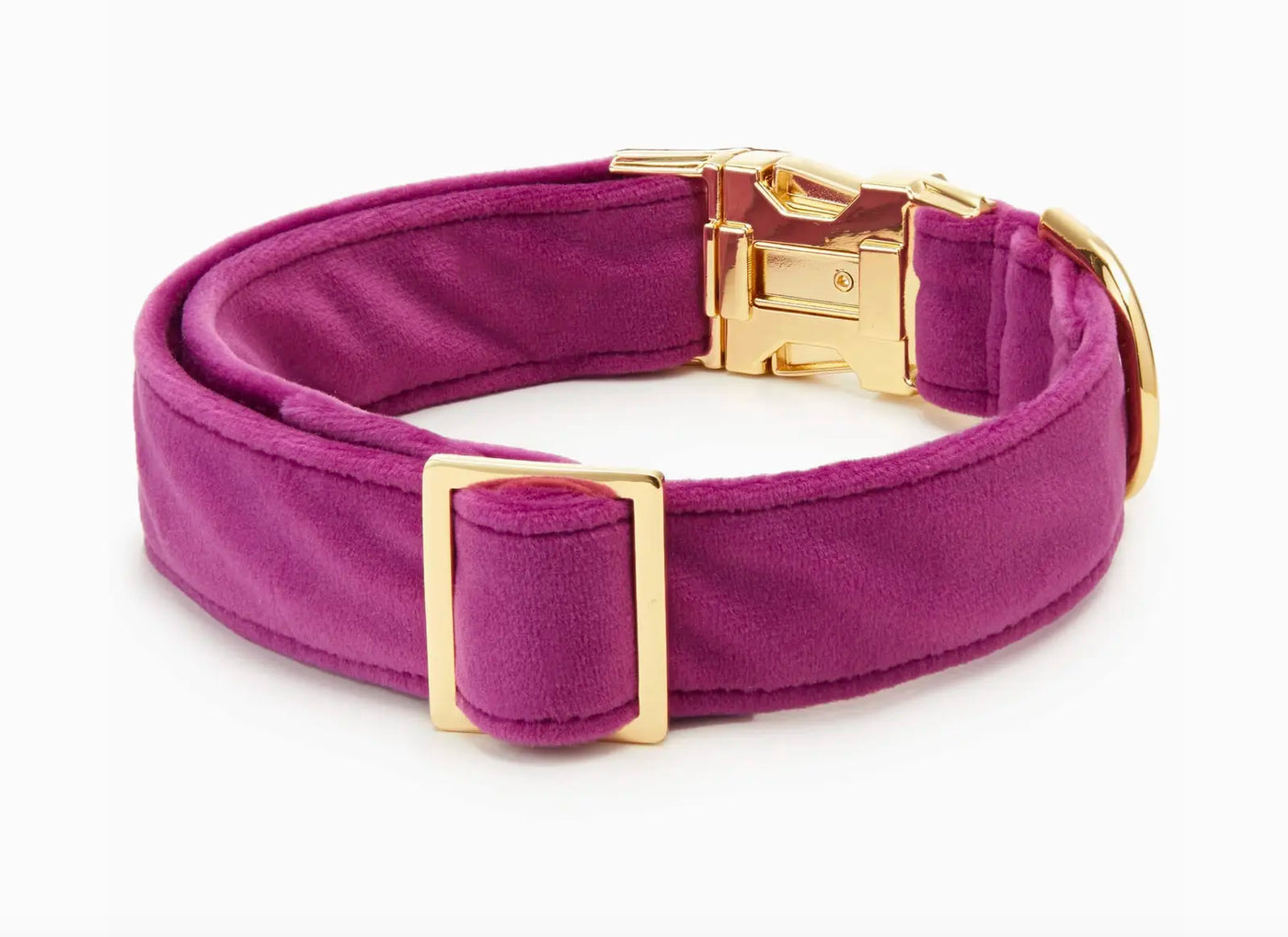 HealthyDog The Foggy Dog Hundehalsband plum velvet