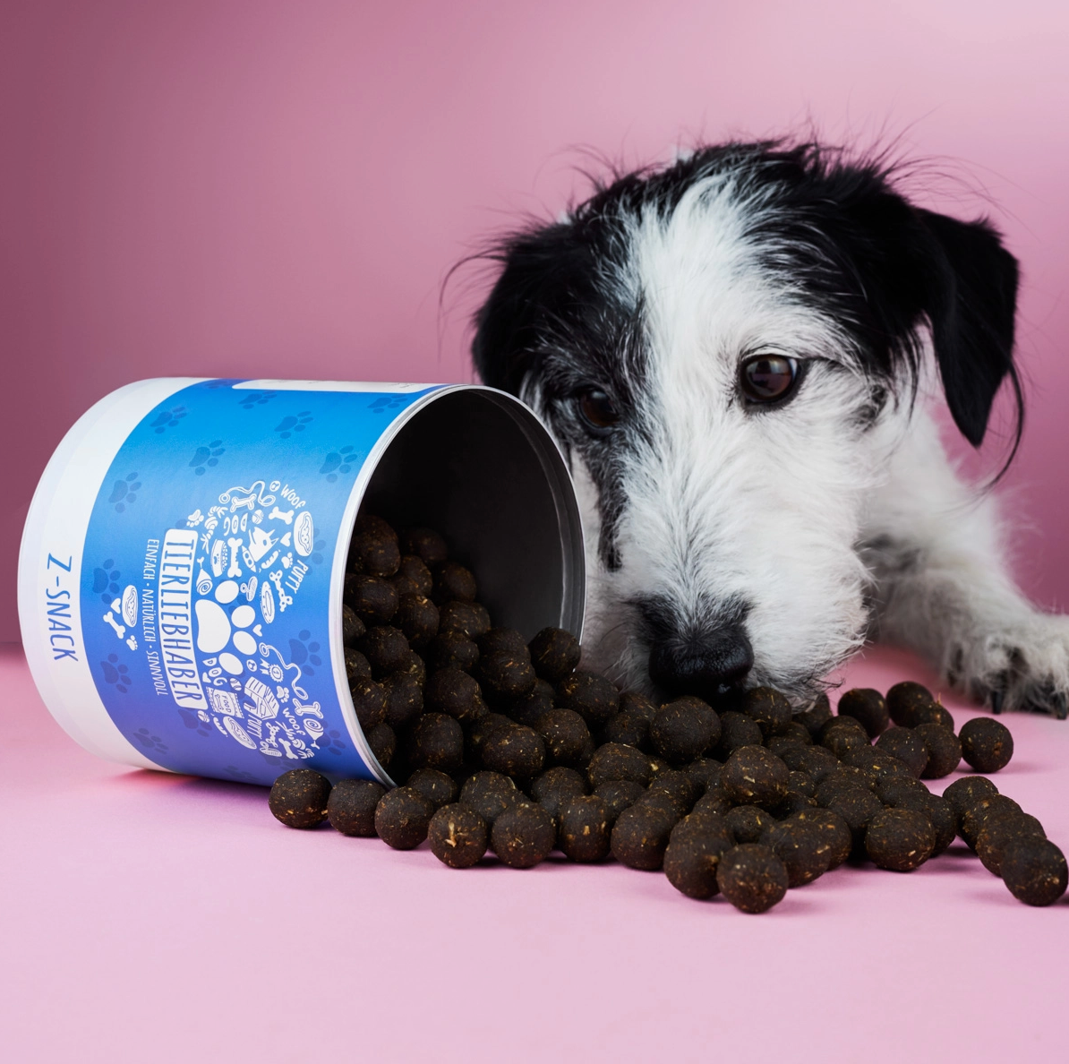 HealthyDog Tierliebhaber Z-Snack
