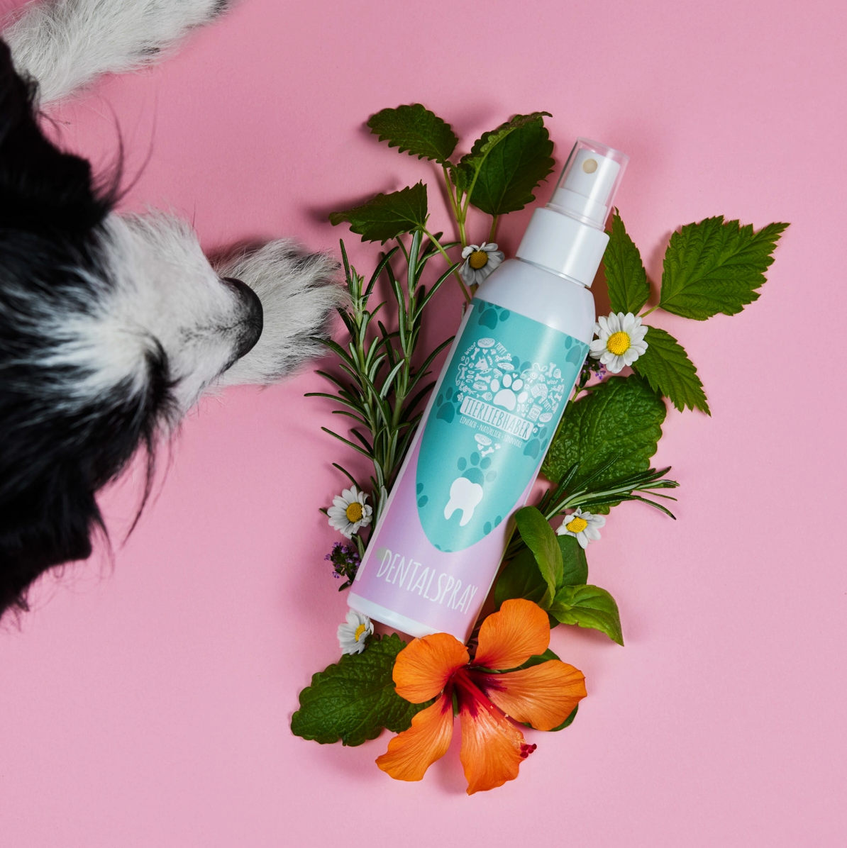 HealthyDog Tierliebhaber Dentalspray