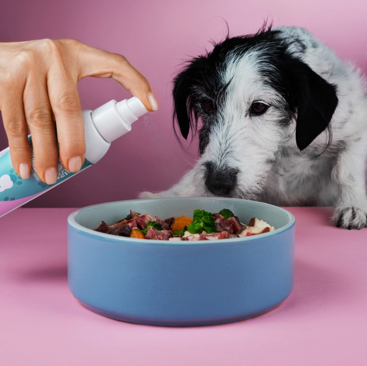 HealthyDog Tierliebhaber Dentalspray