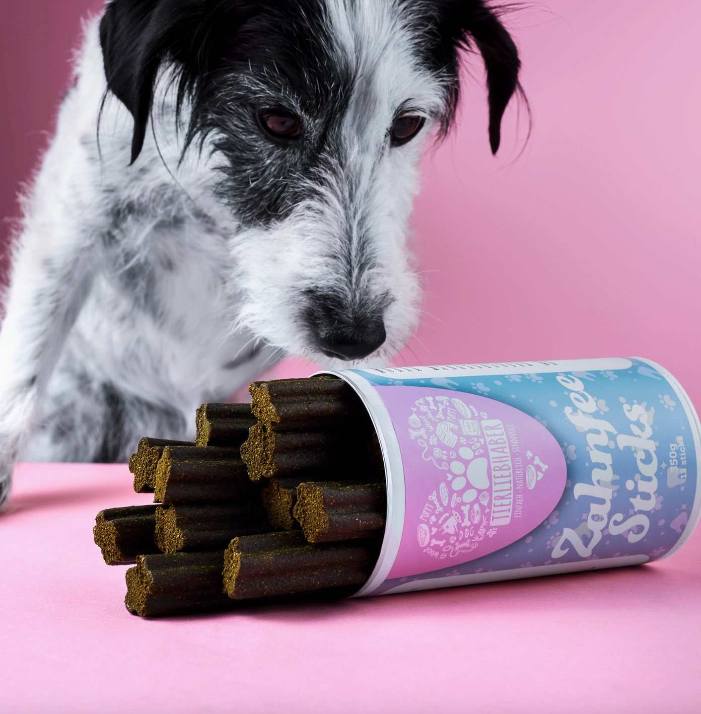 HealthyDog Tierliebhaber Zahnfee Sticks