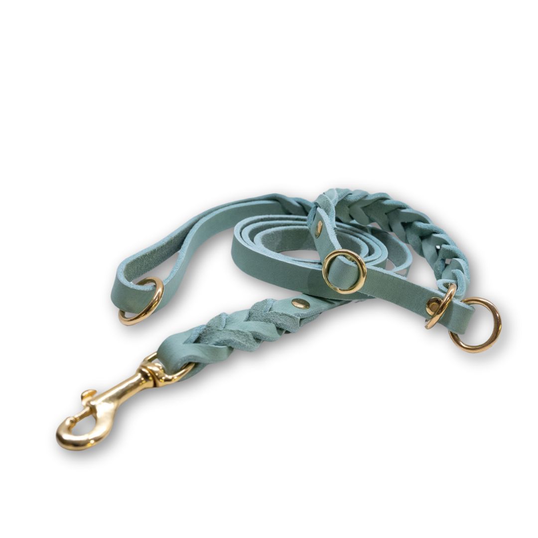 HealthyDog Lederleine und Lederhalsband mint
