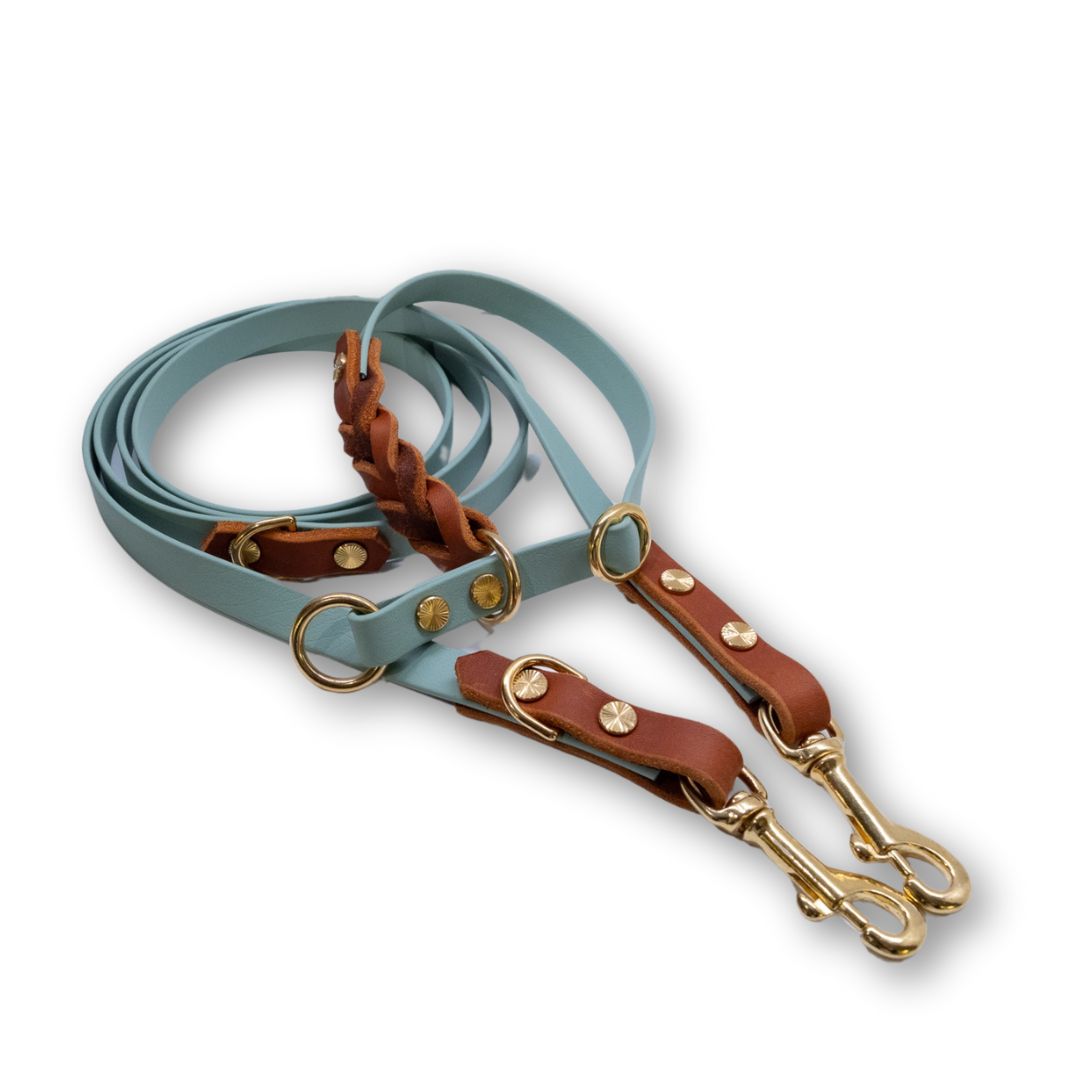 HealthyDog Biothane Leine mit Leder