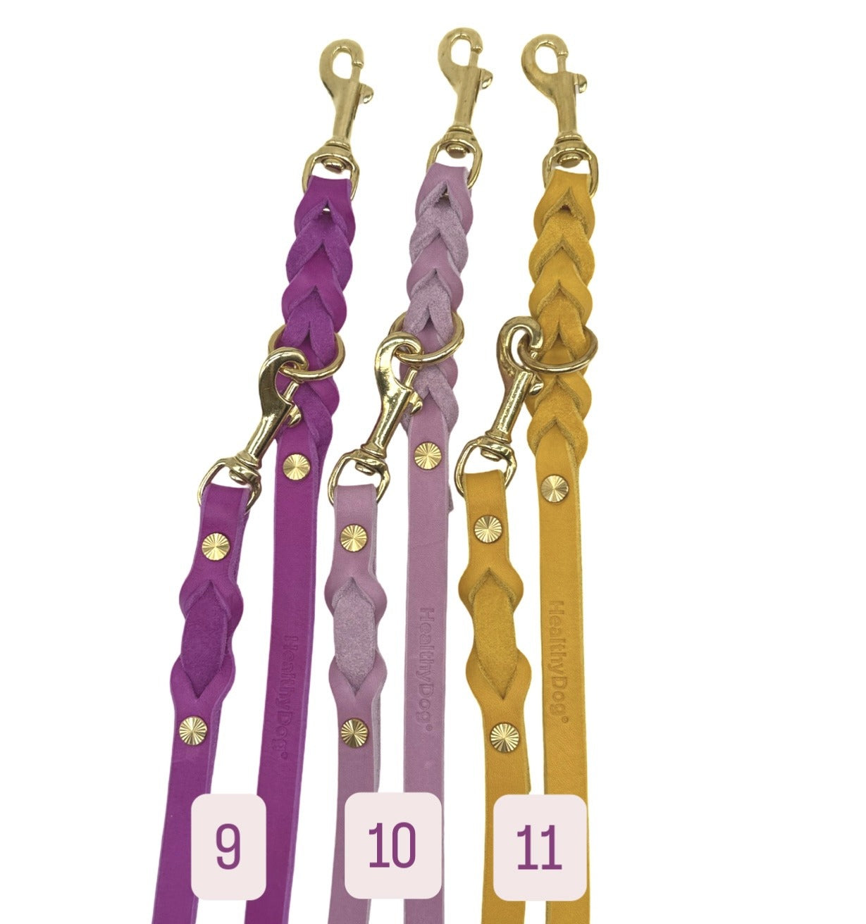 HealthyDog Lederhalsband "Verbunden" 11 verschiedene Farben